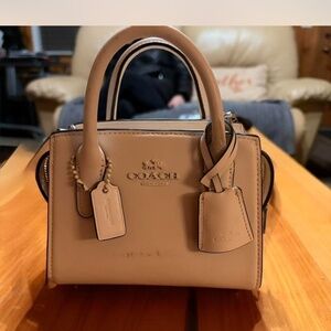 Coach Andrea Mini Carryall bag